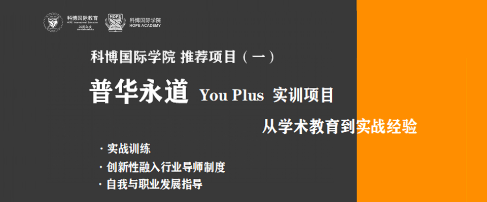 普华永道You Plus 实训项目，让软实力助您一臂之力
